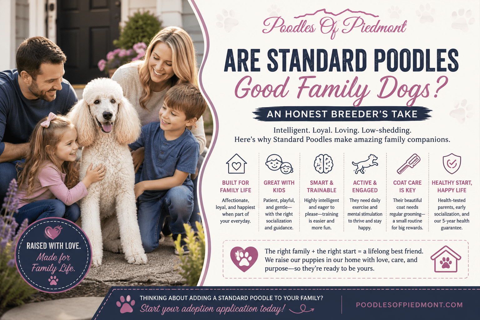 Standard Poodle relaxing with a family and children at home